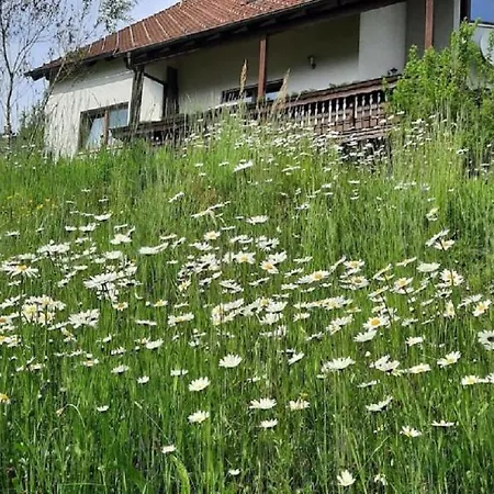 Haus Am Waldesrand *