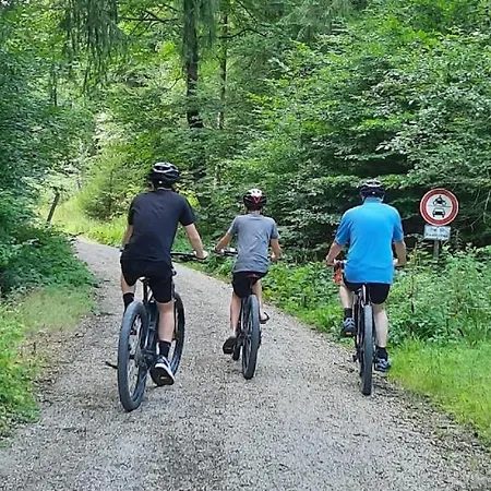Am Waldesrand Fichtelberg