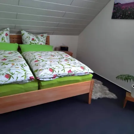 Am Waldesrand Apartamento Fichtelberg
