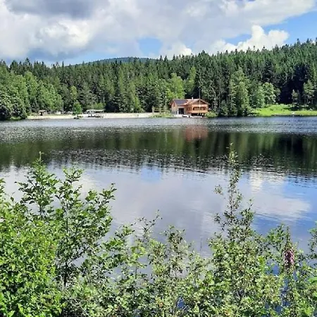 Am Waldesrand * Fichtelberg
