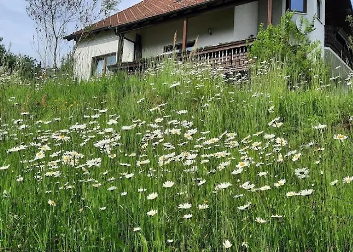 Haus Am Waldesrand *