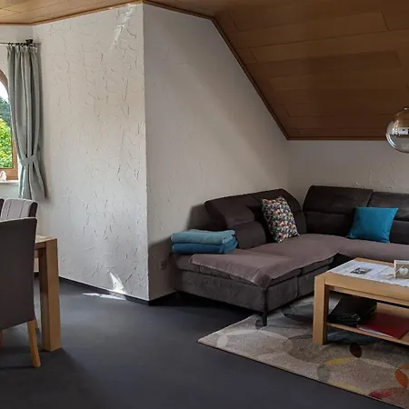 Am Waldesrand Appartement Fichtelberg